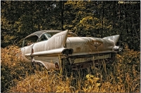 Abandoned Cars and Trucks