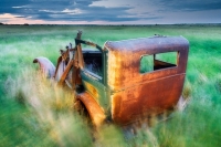 Abandoned Cars and Trucks