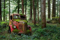 Abandoned Cars and Trucks
