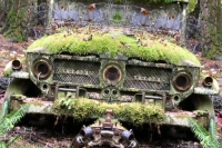 Abandoned Cars and Trucks