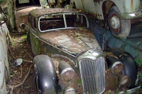Abandoned Cars and Trucks