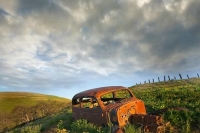 Abandoned Cars and Trucks