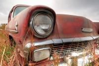 Abandoned Cars and Trucks