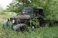 Abandoned Cars and Trucks