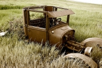 Abandoned Cars and Trucks