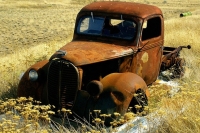 Abandoned Cars and Trucks