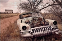 Abandoned Cars and Trucks