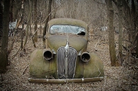 Abandoned Cars and Trucks