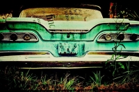 Abandoned Cars and Trucks