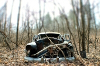 Abandoned Cars and Trucks