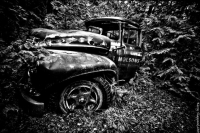 Abandoned Cars and Trucks