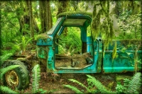 Abandoned Cars and Trucks