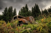 abandoned-and-forgotten-cars-trucks-29