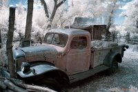 abandoned-and-forgotten-cars-trucks-32