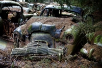 abandoned-and-forgotten-cars-trucks-33