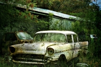 abandoned-and-forgotten-cars-trucks-37