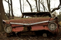 abandoned-and-forgotten-cars-trucks-39