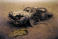 abandoned-and-forgotten-cars-trucks-42
