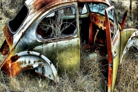 abandoned-and-forgotten-cars-trucks-45