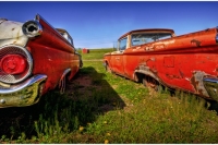 abandoned-and-forgotten-cars-trucks-48