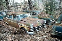 abandoned-and-forgotten-cars-trucks-53