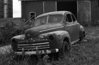 abandoned-and-forgotten-cars-trucks-54