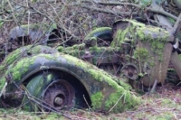 abandoned-and-forgotten-cars-trucks-55