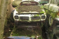 abandoned-and-forgotten-cars-trucks-65