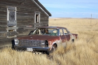 abandoned-and-forgotten-cars-trucks-66