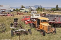 abandoned-and-forgotten-cars-trucks-68