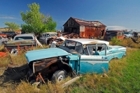 abandoned-and-forgotten-cars-trucks-69
