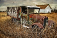 abandoned-and-forgotten-cars-trucks-70