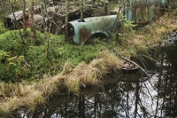 abandoned-and-forgotten-cars-trucks-72