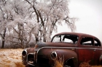 abandoned-and-forgotten-cars-trucks-74