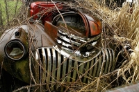 abandoned-and-forgotten-cars-trucks-76