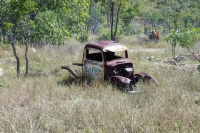 abandoned-and-forgotten-cars-trucks-77