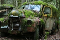 abandoned-and-forgotten-cars-trucks-79