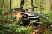 abandoned-and-forgotten-cars-trucks-84