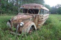 abandoned-and-forgotten-cars-trucks-85