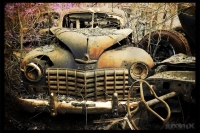 abandoned-and-forgotten-cars-trucks-86