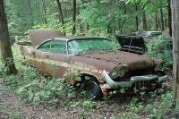 abandoned-and-forgotten-cars-trucks-90
