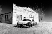abandoned-and-forgotten-cars-trucks-94