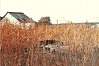 abandoned-and-forgotten-cars-trucks-95
