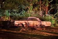 abandoned-and-forgotten-cars-trucks-96