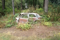 abandoned-and-forgotten-cars-trucks-99