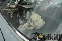 Beatersville_Car_and_Bike_Show_134