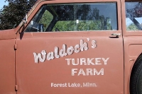 Car and Truck Door Art and Lettering