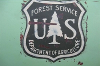 Car and Truck Door Art and Lettering