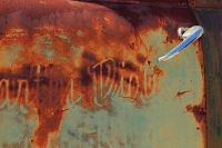 Car and Truck Door Art and Lettering