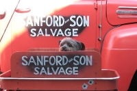 Car and Truck Door Art and Lettering